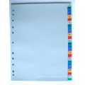 26 páginas coloridas PP índice divisor com inglês impresso (BJ-9029)